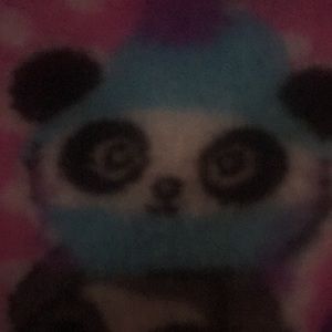 Meet your Posher, Ana